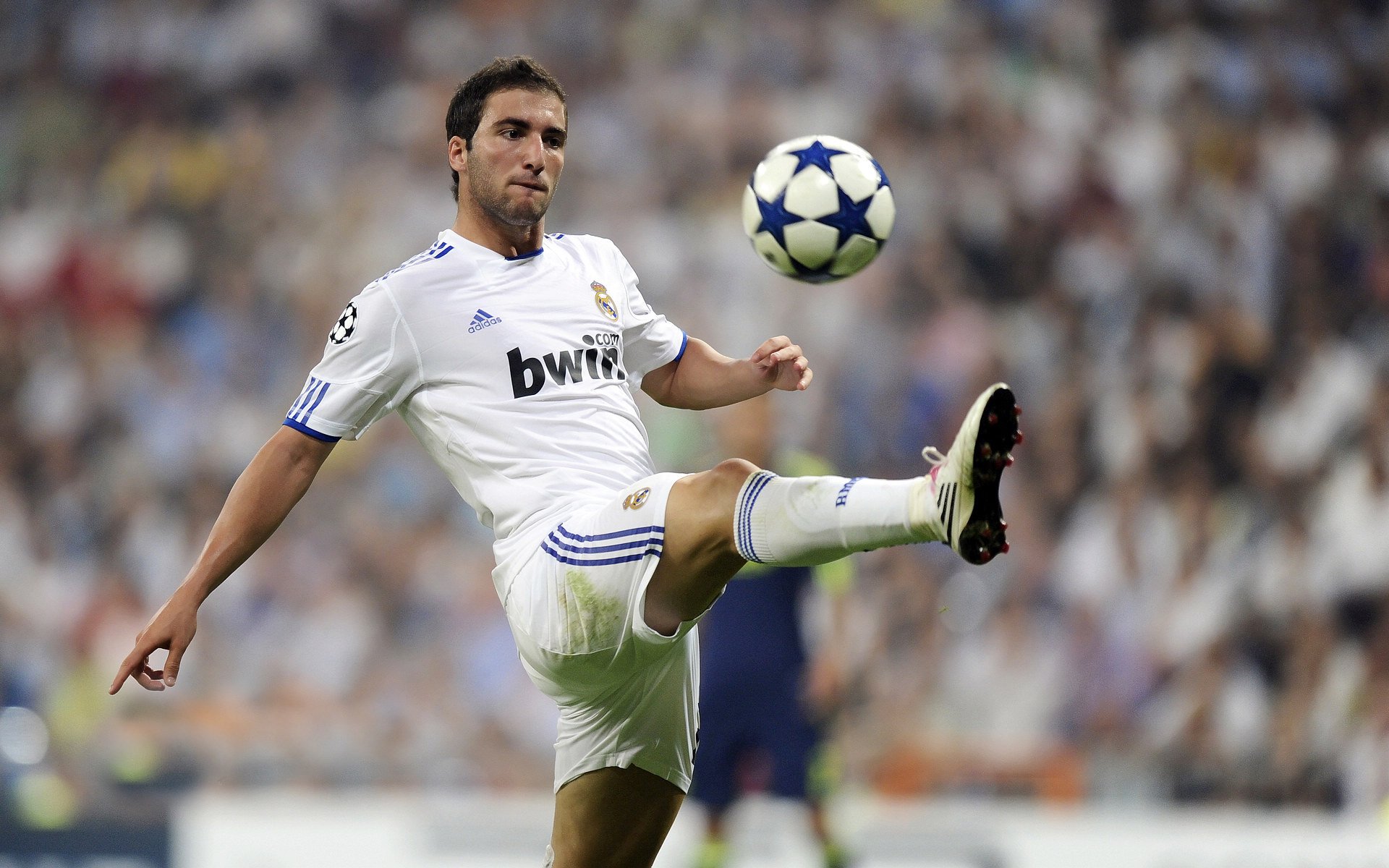 MILAN SPORTS-篮球新人崛起，挑战时代霸主！，新人篮球教学视频